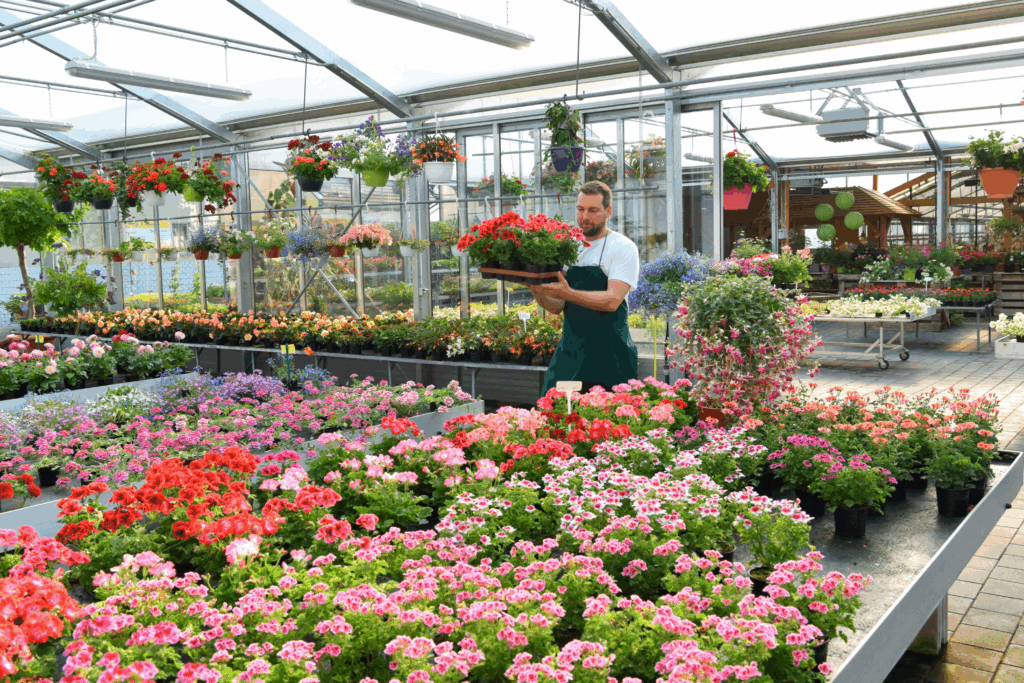 producatori de flori in romania